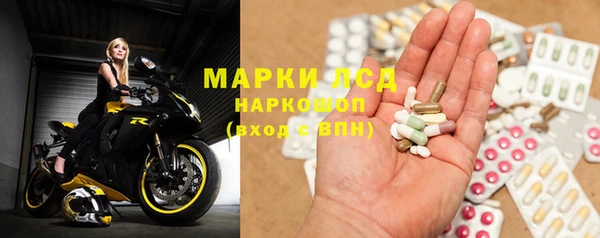 шишки Бородино