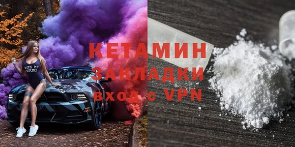 шишки Бородино
