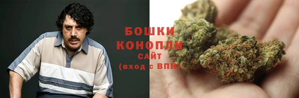 spice Бугульма