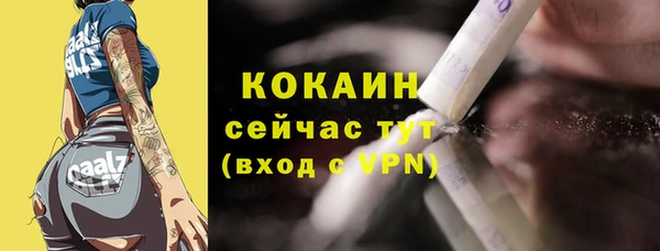 шишки Бородино