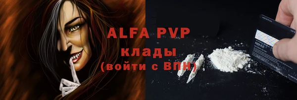 шишки Бородино