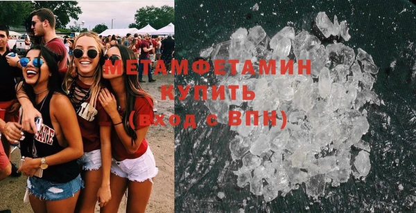 шишки Бородино