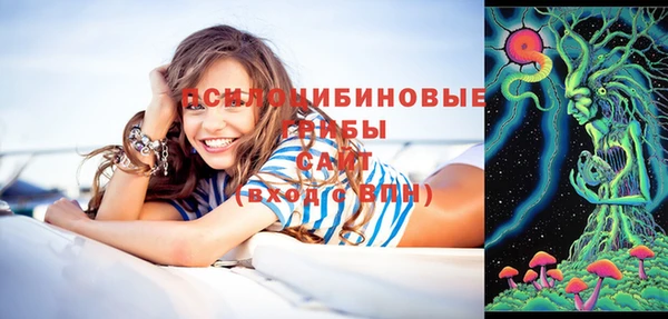 сатива Бронницы