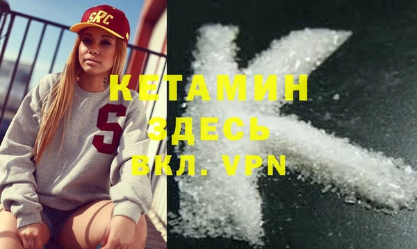 шишки Бородино