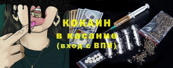 сатива Бронницы