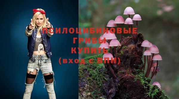 spice Бугульма
