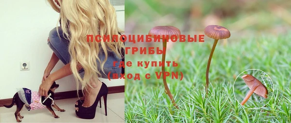 spice Бугульма