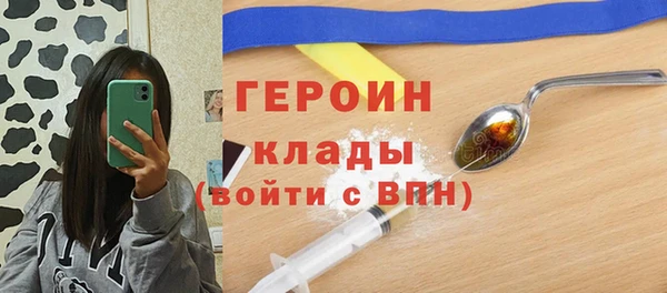 шишки Бородино