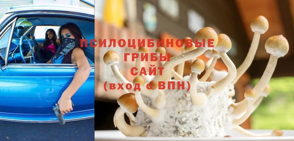 сатива Бронницы