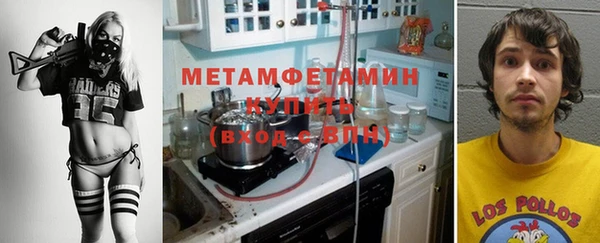 шишки Бородино